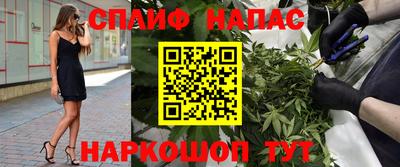 молекула духа Краснодар