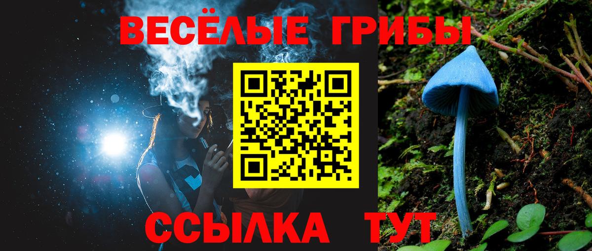 Зеленогорск  Галлюциногенные грибы ЛСД  Вход с VPN 